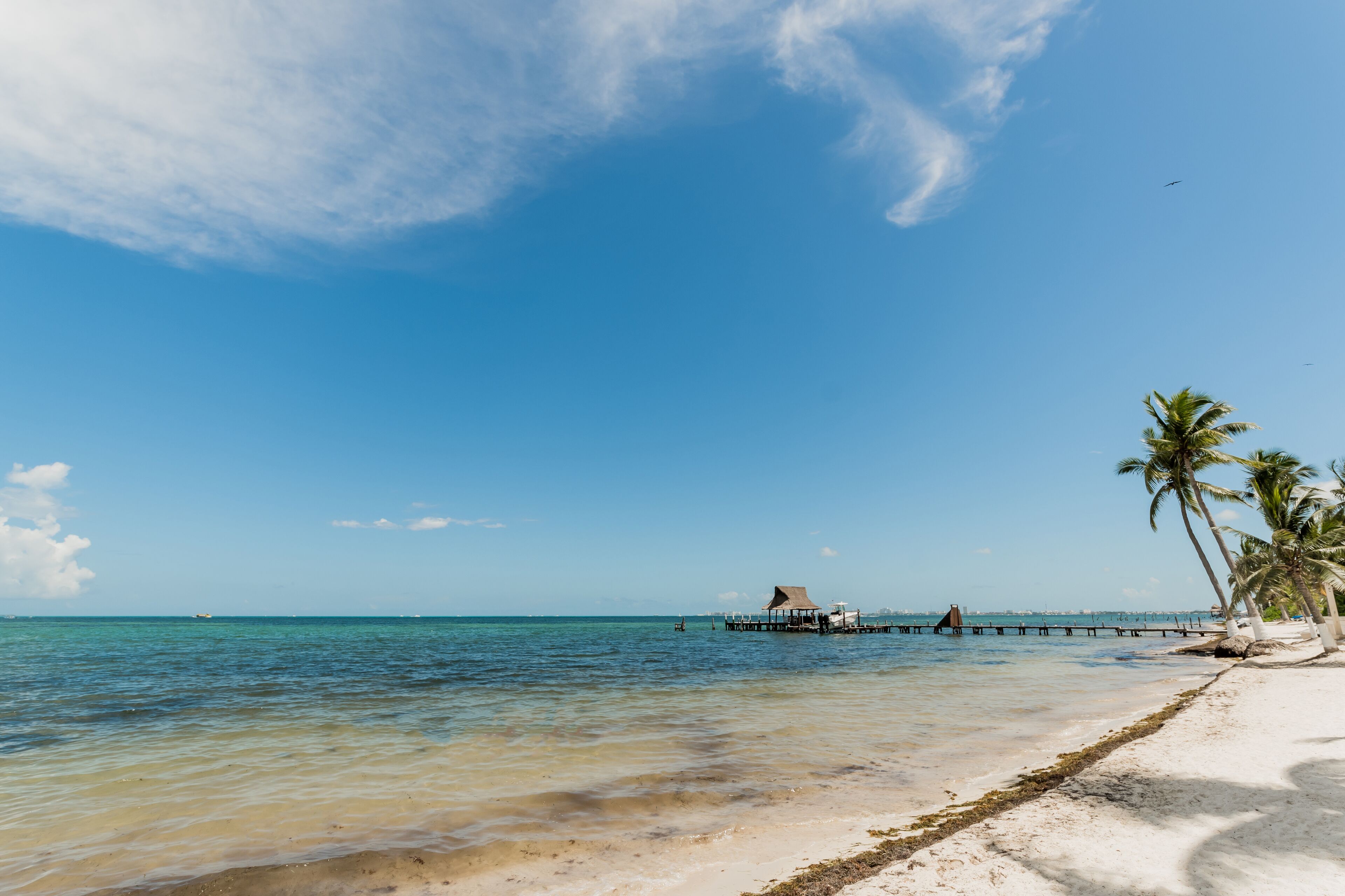A beach with clear water, a pier, and palm trees.