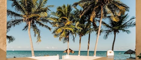 A pool area with palm trees and a view of the ocean.