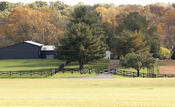 Donkeytown view from road