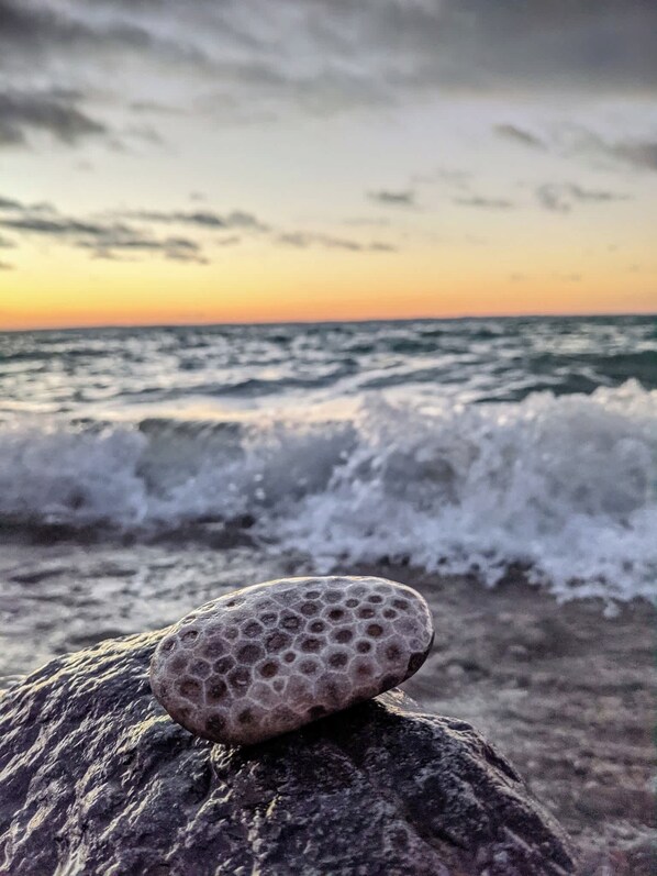 Playa