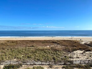 On the beach - Surfs Edge 402, 6401 Atlantic Ave, Ocean City, Maryland direct ocean front (Ocean City)