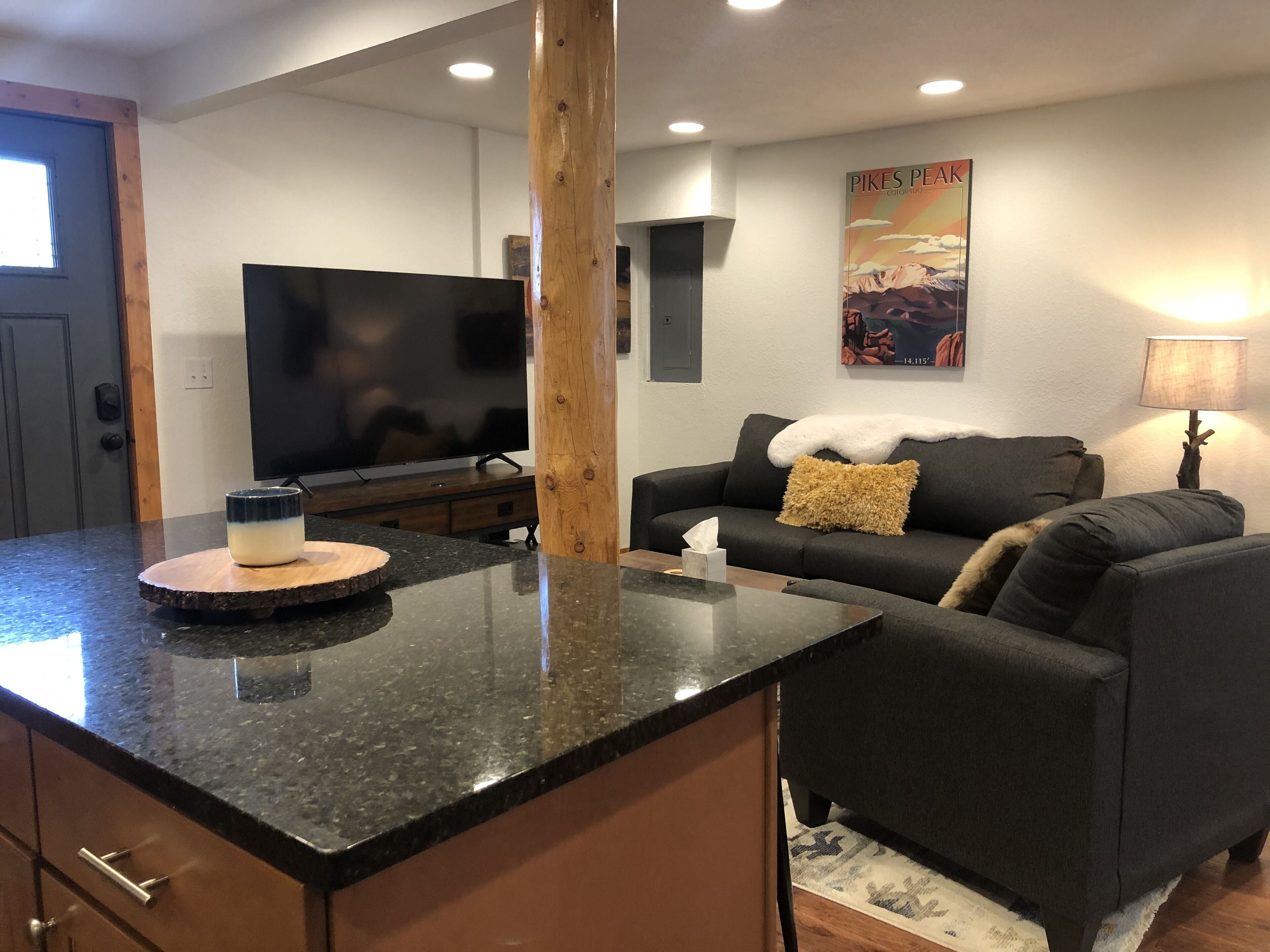 Smart TV, fireplace, books