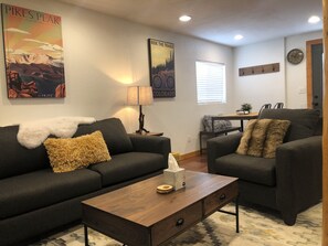 Smart TV, fireplace, books