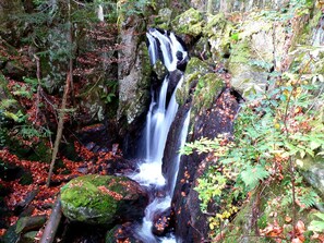 Property grounds - Le Prince 4 people RDC Epinal (Épinal)