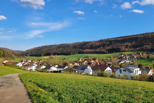 Blick über Esslingen