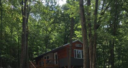 Wolfpack Treehouse - Private Hot Tub