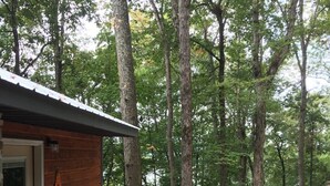 A wooden deck with outdoor seating, a small building, and a forested backdrop.