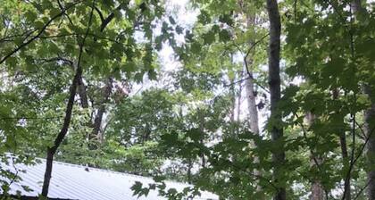 NO SUNDAY CHECKINS wolfpack- hot tub- treehouse