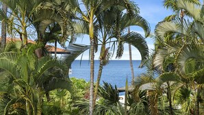 A tropical resort with palm trees and a view of the ocean.