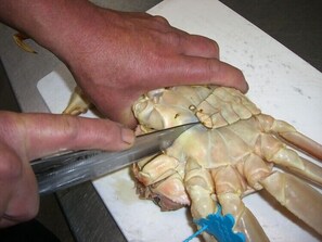 Food and drink - Hamasaka Onsen Umibenooyado Marubun (Shinonsen)