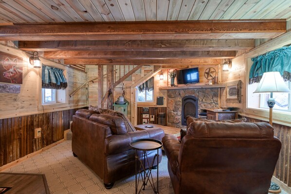 Télévision, cheminée, lecteur de DVD, livres