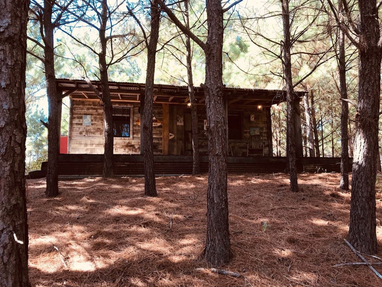 A rustic cabin surrounded by trees with a wooden exterior and a visible door.