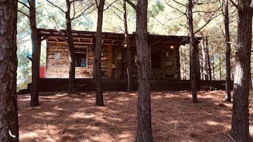 A rustic cabin surrounded by trees with a wooden exterior and a visible door.