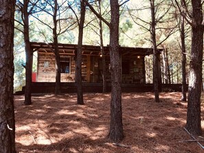 A rustic cabin surrounded by trees with a wooden exterior and a visible door.
