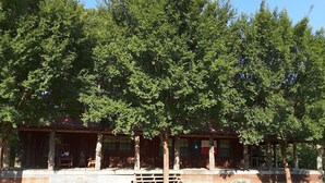 Un bâtiment rustique en bois, doté d’un porche et entouré d’arbres denses.