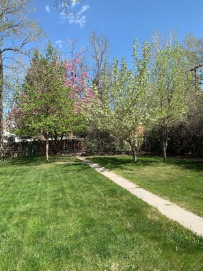 Property grounds - Relax, unwind and enjoy! (Cody)