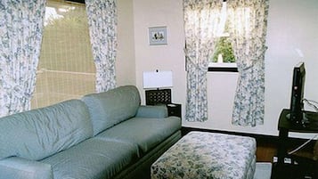 Fernseher, DVD-Player