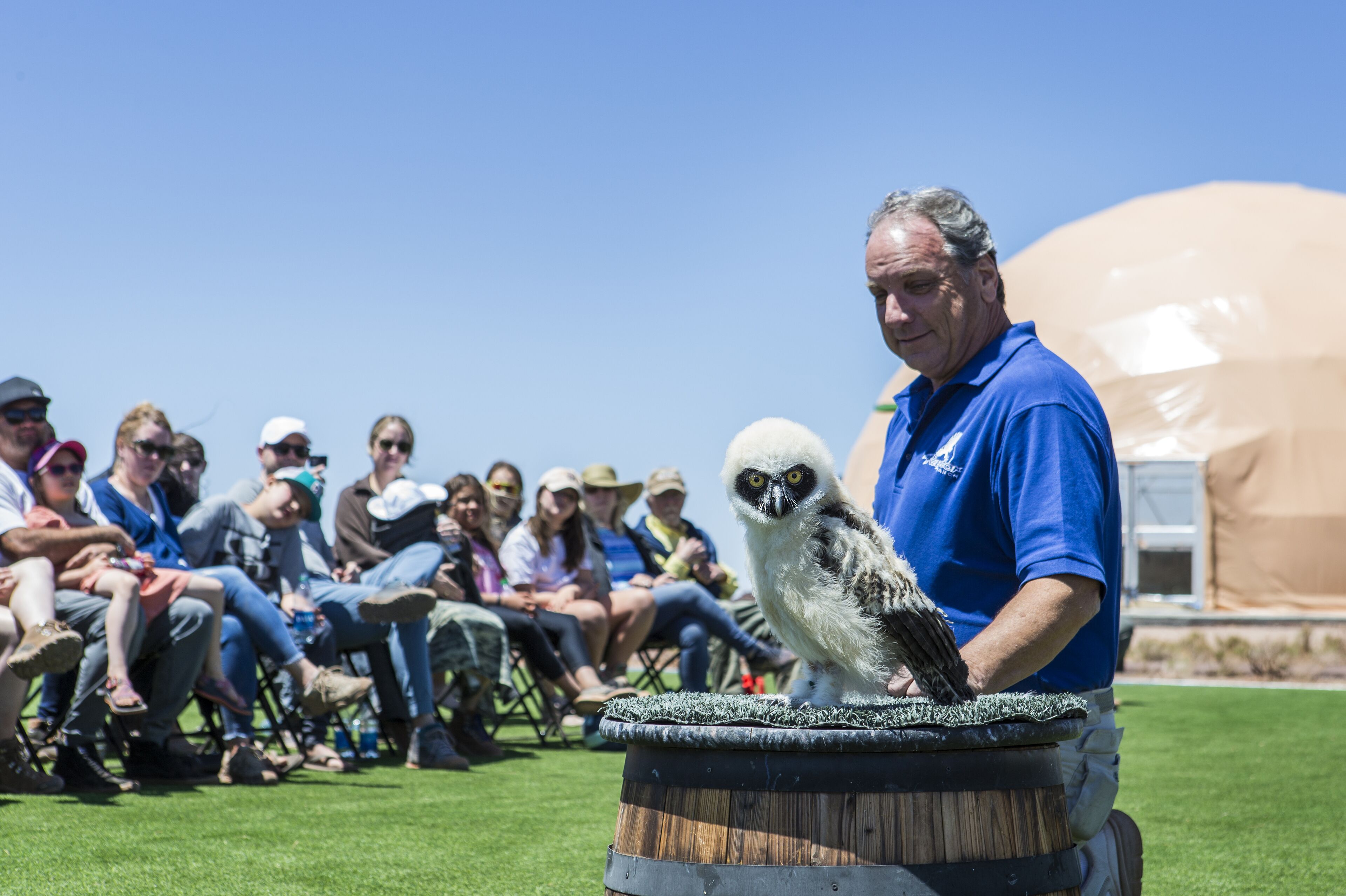 A man holding a white owl with black markings on a wooden barrel.