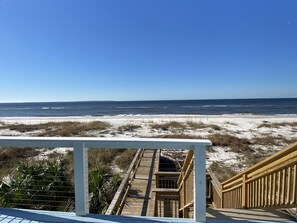 Property grounds - Beachfront and Pet Friendly! “Jewel of Paradise” (Port St Joe)