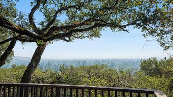 A large tree with a wide canopy, a wooden deck, and a view of a forested landscape.