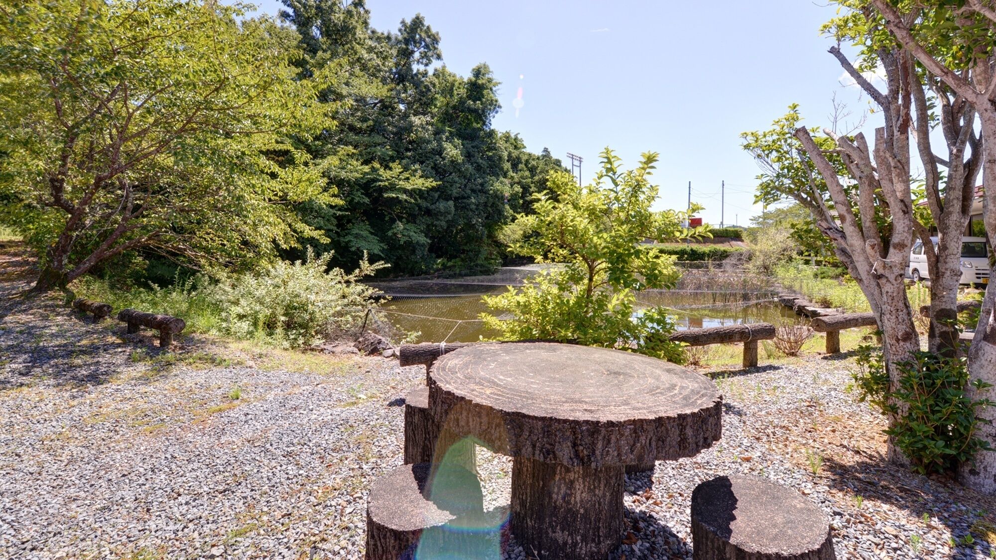 A tranquil outdoor area with a wooden table and benches, surrounded by trees and a calm water body.
