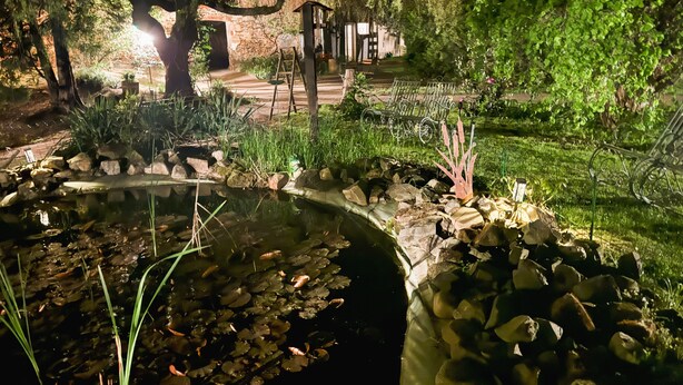 Een tuin met een vijver, rotsen en een houten brug.