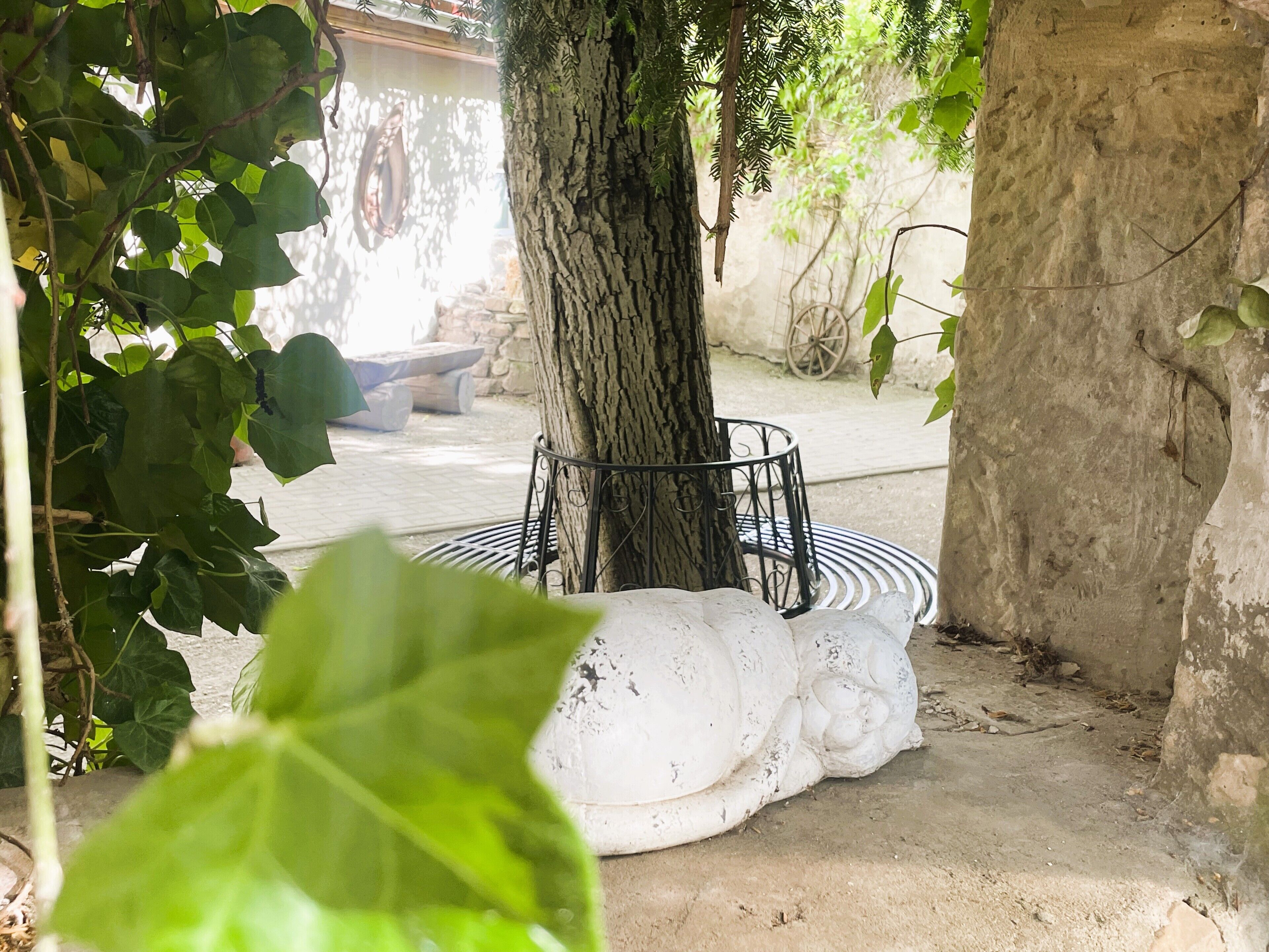Un árbol con un banco de metal y una escultura blanca en el suelo.