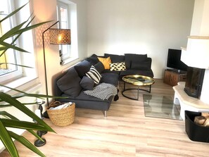 TV, fireplace, computer monitors