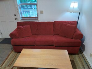 TV, fireplace - Summit Suite At Forest House with Kitchen (NO Pets)  (ashford)