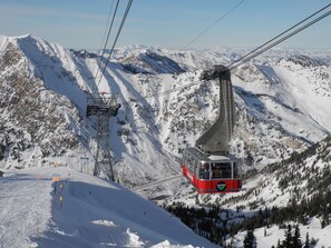 Snow and ski sports - SNOWBIRD-SKI IN/ SKI OUT-CLIFF CLUB LODGE-3RM, 3 BATH PINNACLE UNIT w/ CLIFF SPA (Alta)
