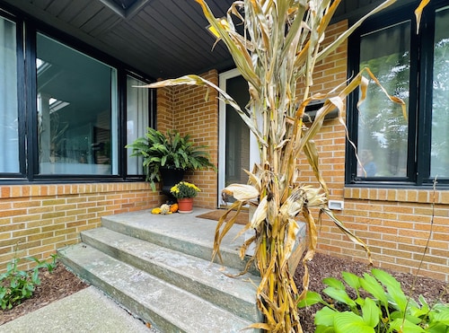 Downtown Boyne City Summer—Near Restaurants, Shops, Festivals & Peninsula Beach