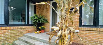 Downtown Boyne City Summer—Near Restaurants, Shops, Festivals & Peninsula Beach