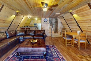 TV, fireplace, DVD player, books