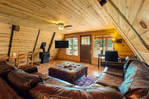 TV, fireplace, DVD player, books