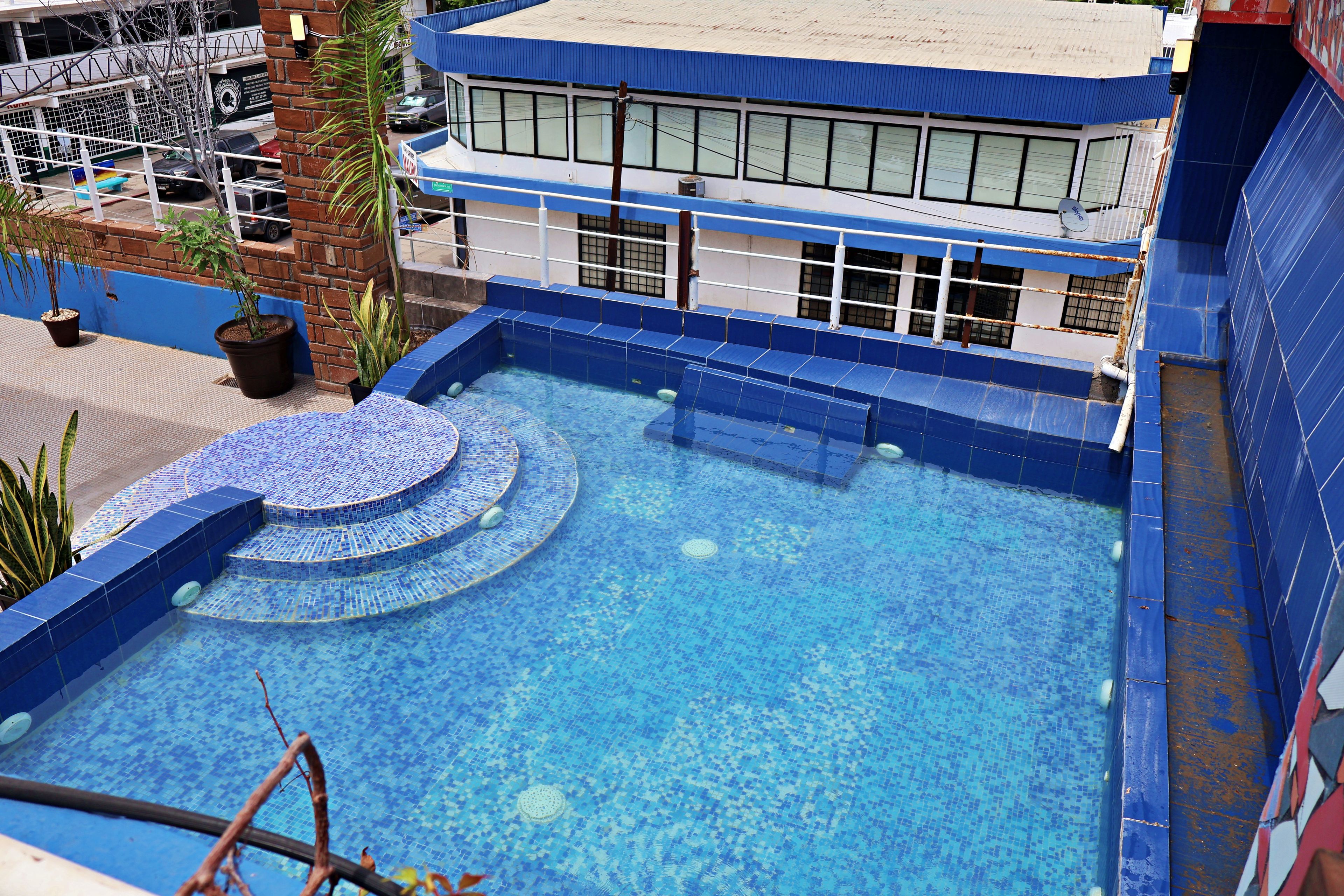 Une piscine aux motifs bleus réalisés avec des carreaux, entourée d’un mur de briques et bordée d’un bâtiment doté de grandes fenêtres.