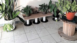 Un rincón de una habitación con un banco y varias macetas.