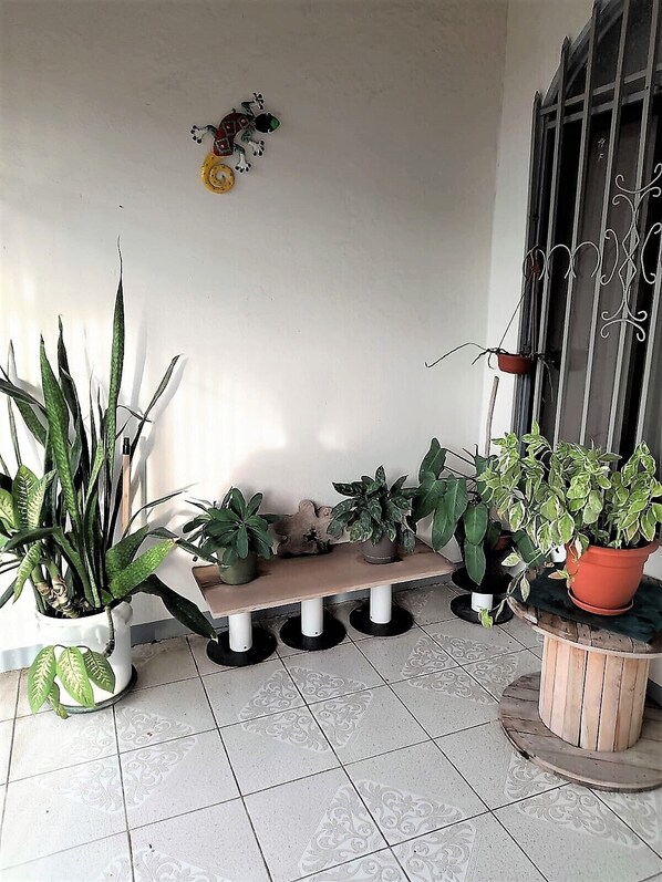 Un rincón de una habitación con un banco y varias macetas.