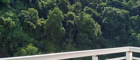 Terrain de lâhĂ©bergement