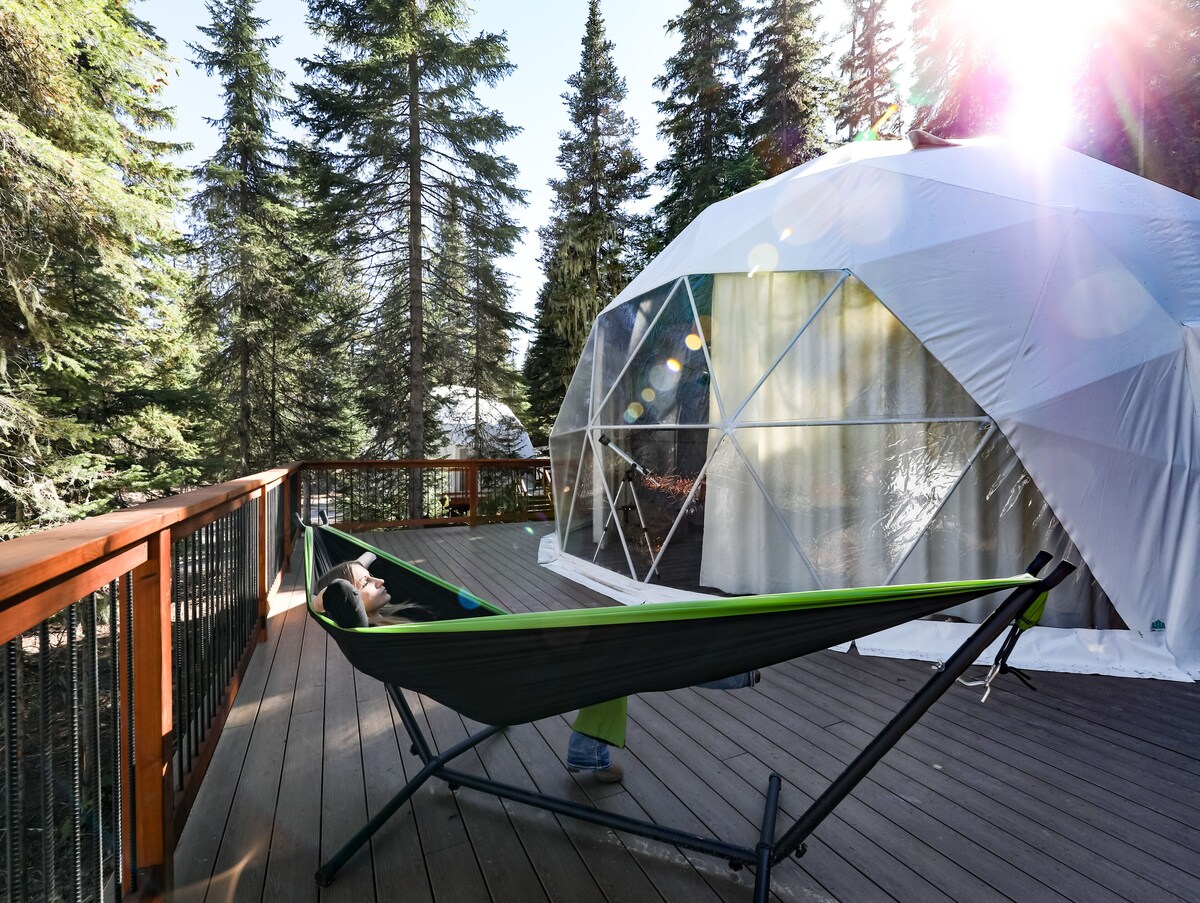 clear-sky-resorts-glacier-unique-sky-domes-reviews-expedia