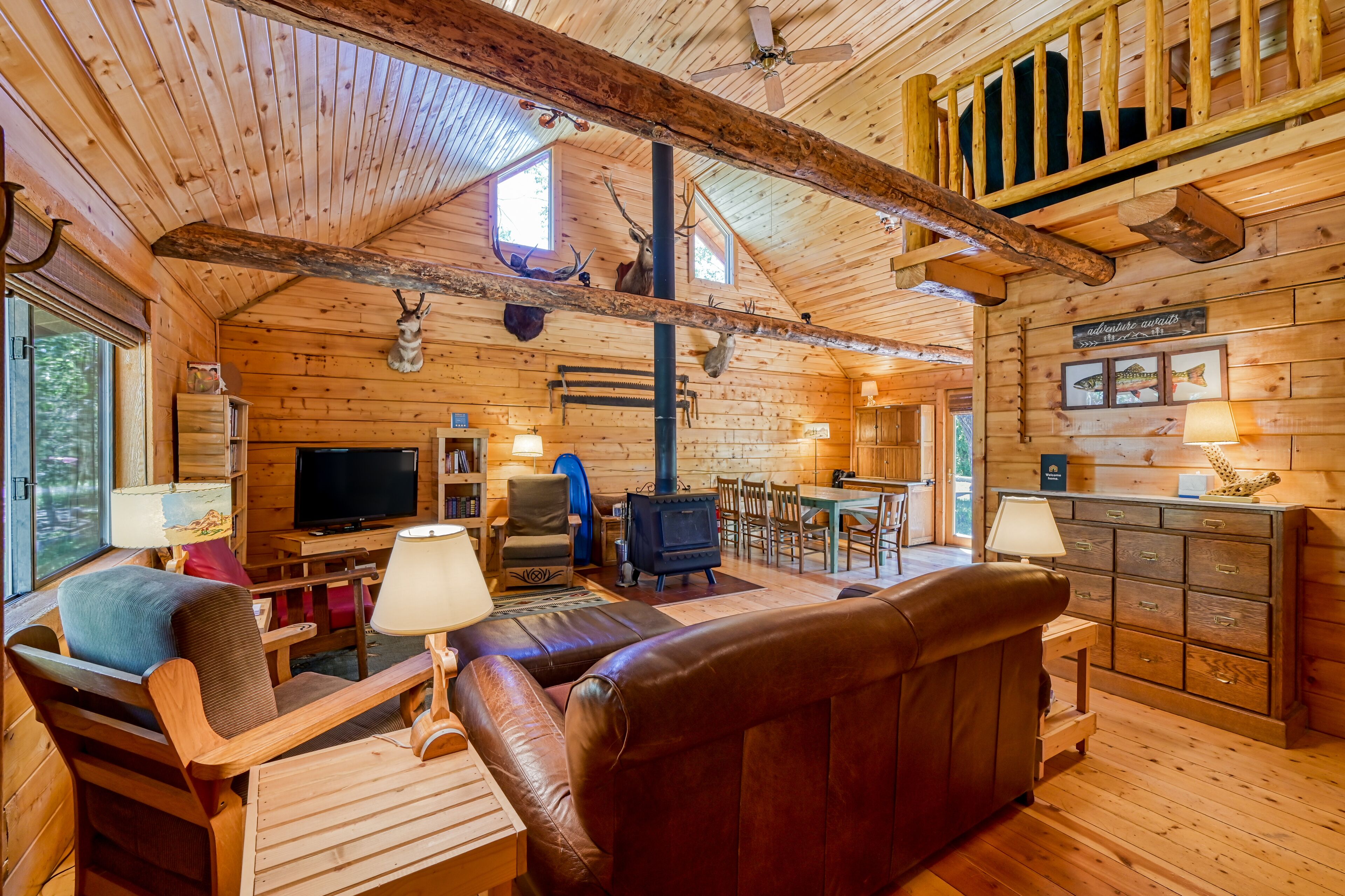 TV, fireplace, DVD player, books