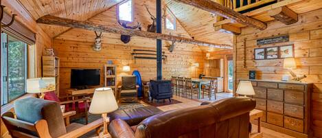 TV, fireplace, DVD player, books