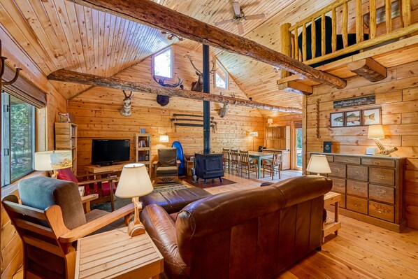 TV, fireplace, DVD player, books