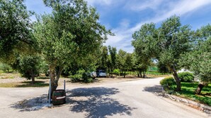 A paved road with trees and a parked car.