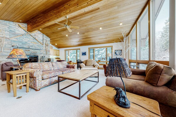 TV, fireplace, DVD player, books