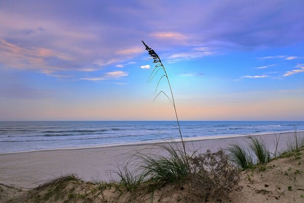 In Strandnähe, Liegestühle, Strandtücher