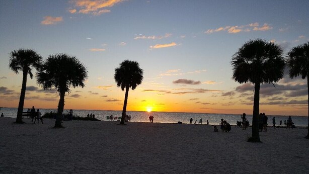 A beach with palm trees and people at sunset.