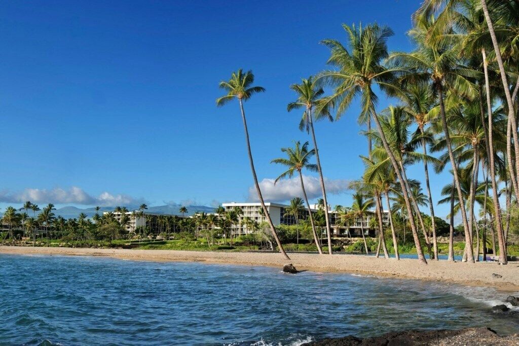A beach with palm trees, a clear blue sky, and a building in the background.