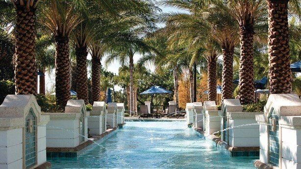 A pool area with palm trees and lounge chairs.