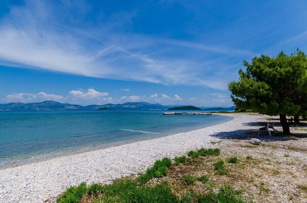 A pebble beach with clear water, a bench, and a tree.