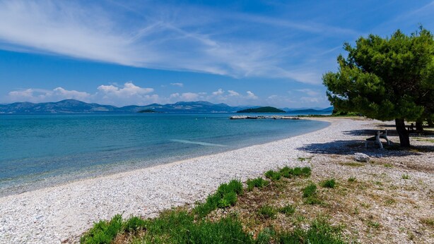A pebble beach with clear water, a bench, and a tree. - Apartments Glavor (Janjina)